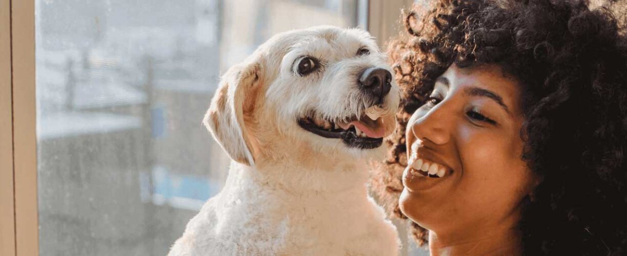A human's best friend