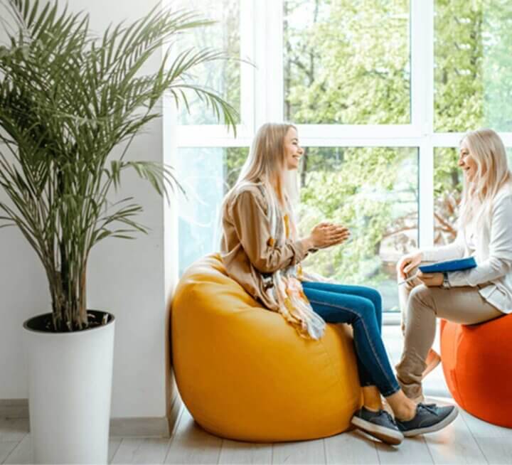 Bachelor of Psychological Science (Honours) Two people sit on bean bags in front of large wall of windows. They smile at each other. One person holds a clipboard and pen. A large potted plant is in the foreground and to the left of people.