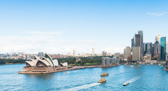 Sydney city view - information night mobile image