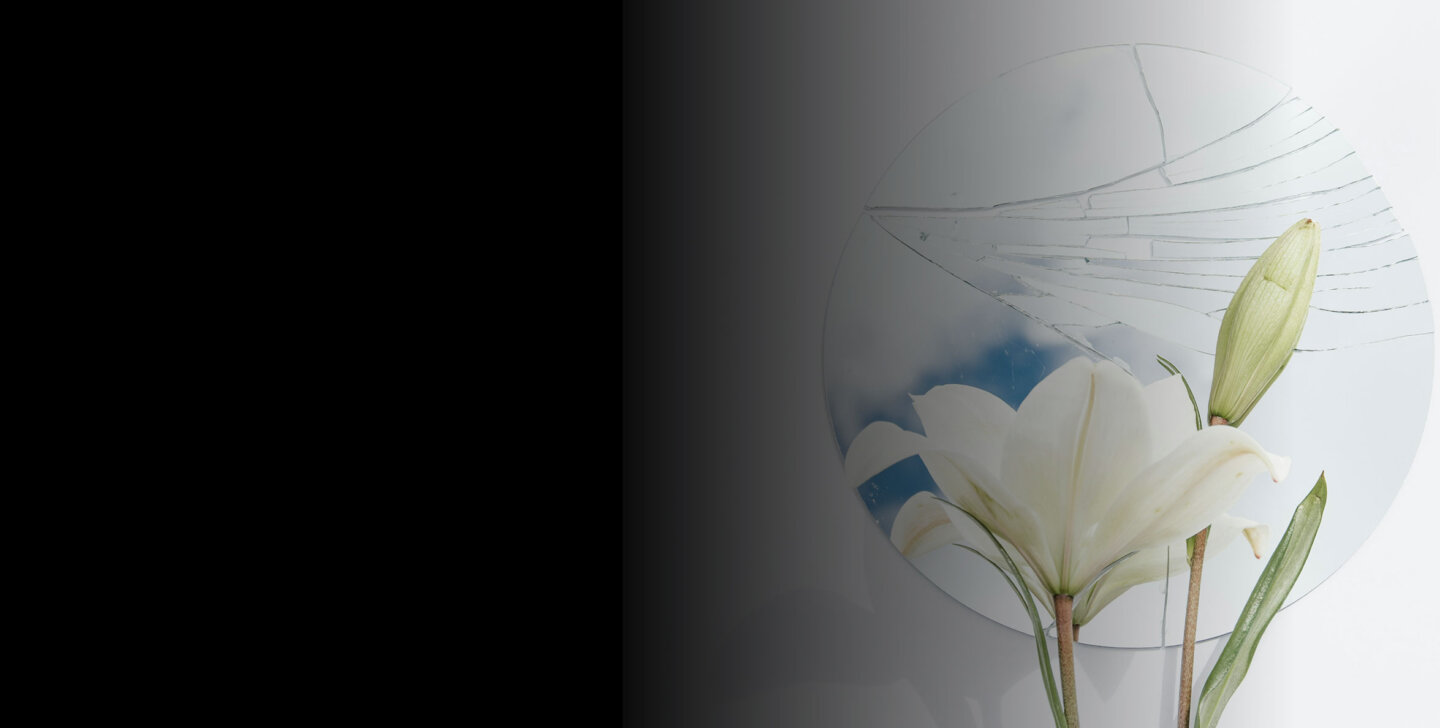 White lily in front of cracked mirror White lily bloomed flower and closed flower in front of a cracked circular mirror.