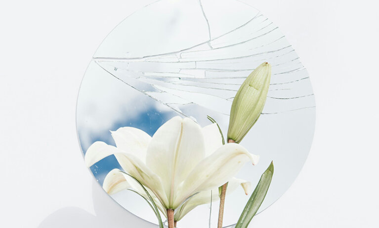 Making sense White lily bloomed flower and closed flower in front of a cracked circular mirror.